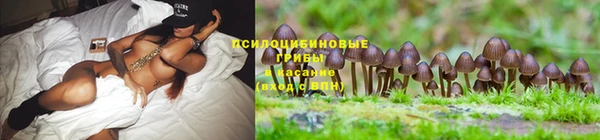 марки lsd Аркадак