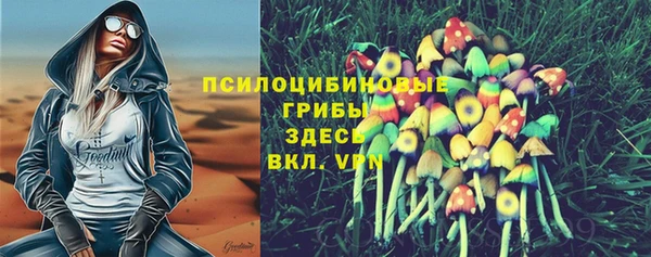 трава Армянск
