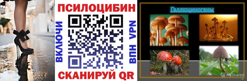 Псилоцибиновые грибы Psilocybe  Майский 